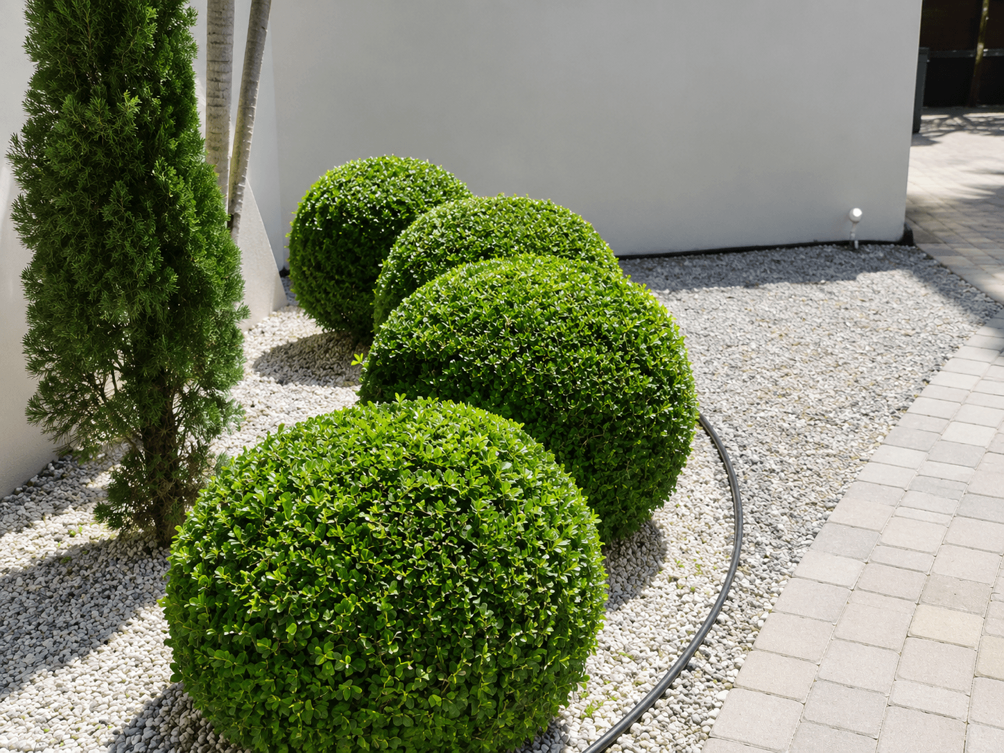 ADS Lawn Service lawn care and edging