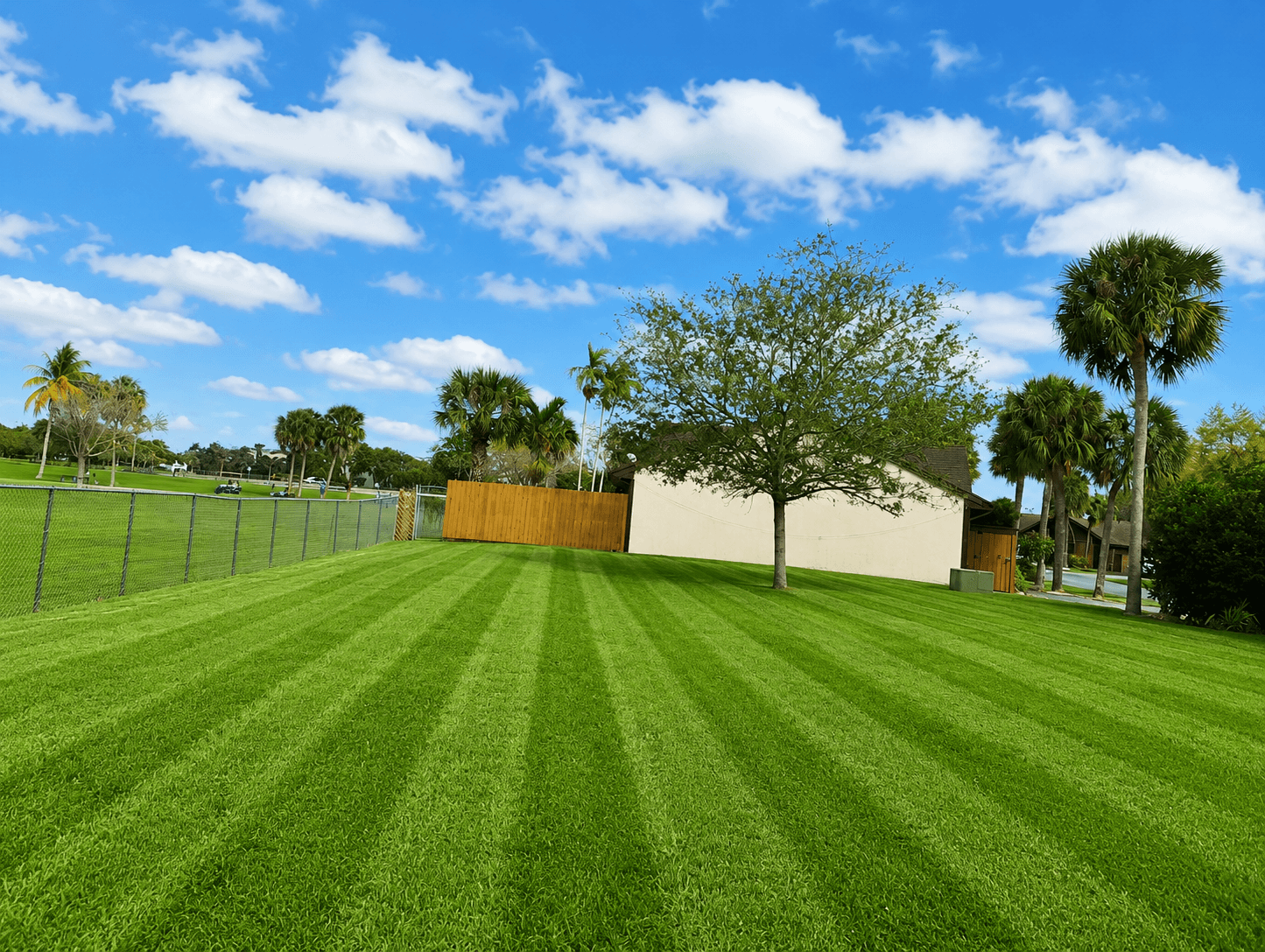 ADS Lawn Service landscaping transformation